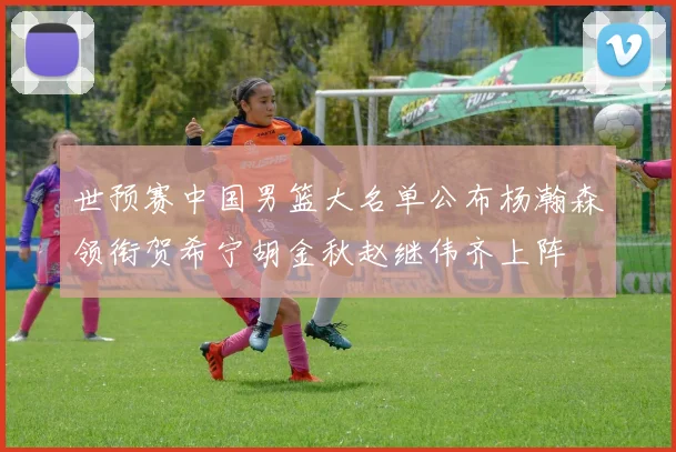 世预赛中国男篮大名单公布杨瀚森领衔贺希宁胡金秋赵继伟齐上阵
