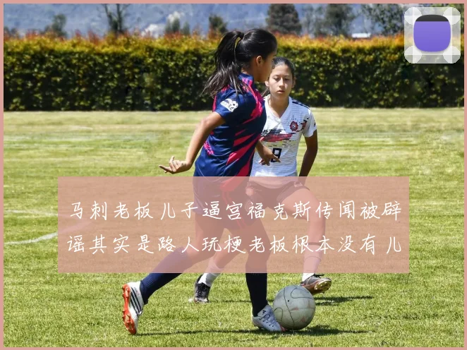 马刺老板儿子逼宫福克斯传闻被辟谣其实是路人玩梗老板根本没有儿子